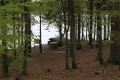 skaneleden
