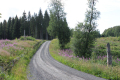 tikebygget